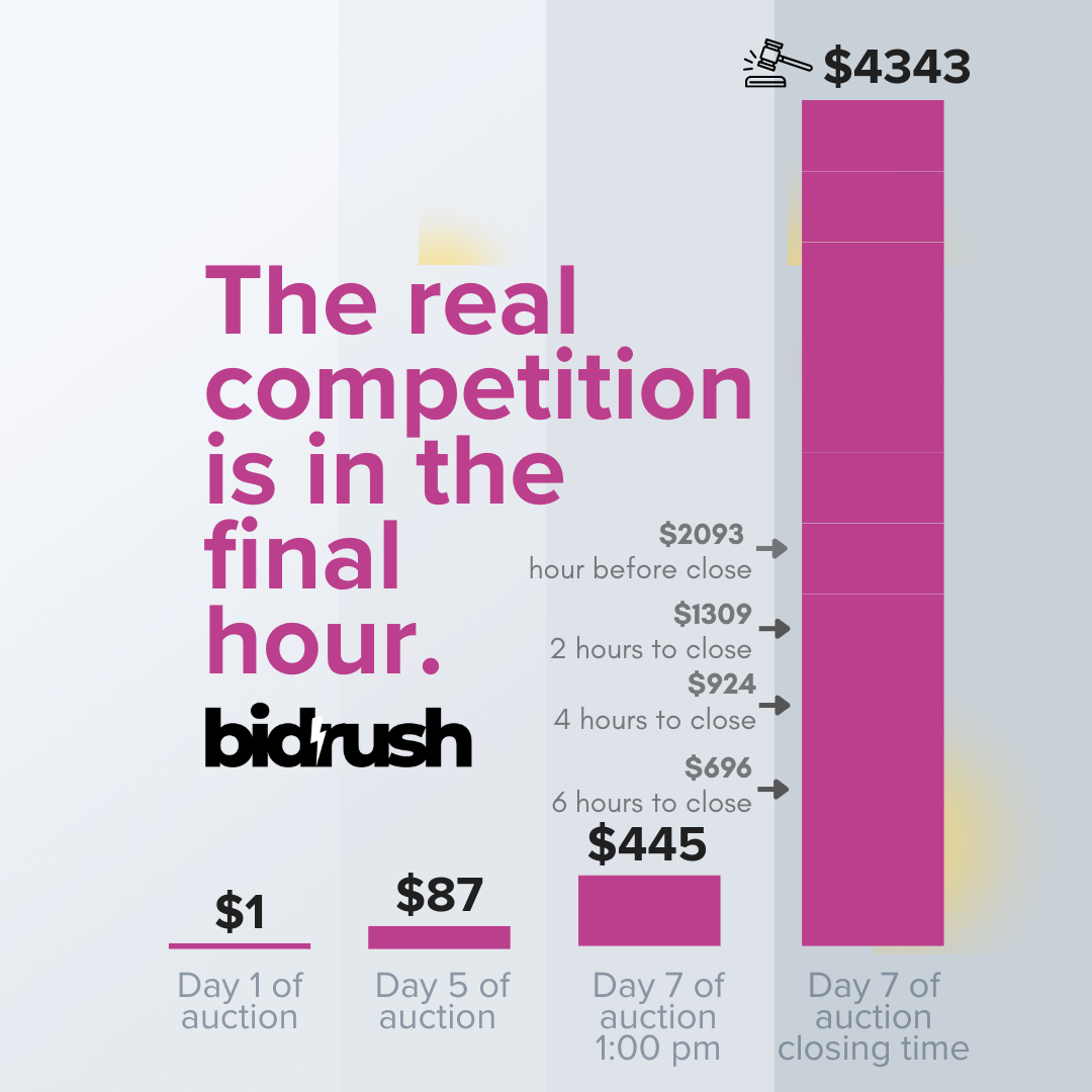 BidRush Auctions Bids Spike in the Final Hour, Always